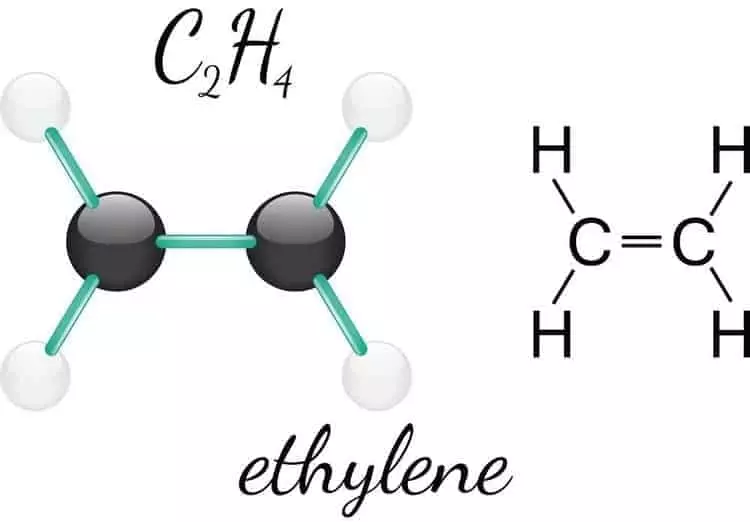 Đặc điểm của phân tử c2h4 có tên gọi là và ứng dụng trong công nghiệp