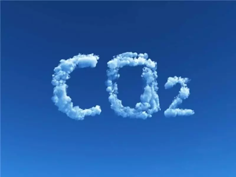 Quá trình tạo ra CO2 trong tự nhiên diễn ra như thế nào?
